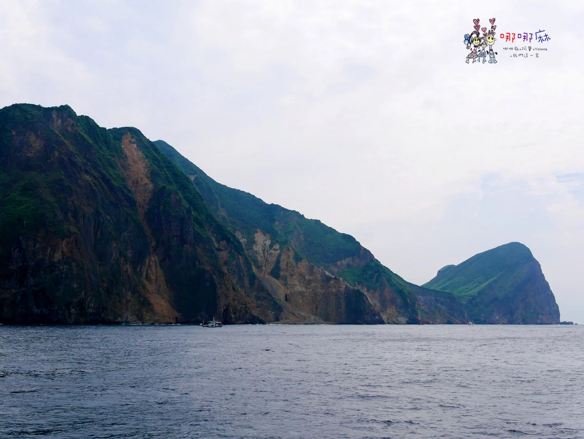 賞鯨了啦！看完海豚和牛奶海，再到漁港體驗DIY海鮮料理