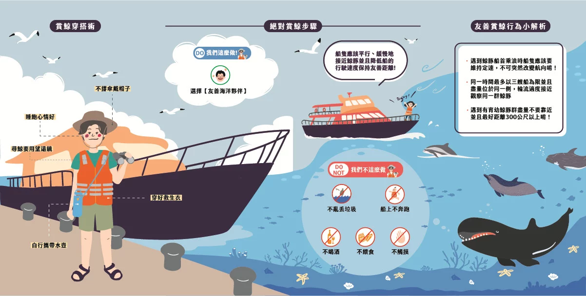 賞鯨了啦！看完海豚和牛奶海，再到漁港體驗DIY海鮮料理