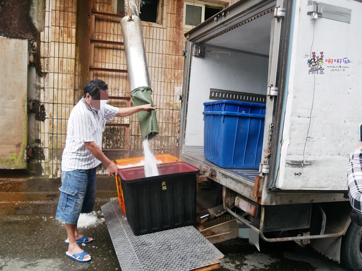 賞鯨了啦！看完海豚和牛奶海，再到漁港體驗DIY海鮮料理