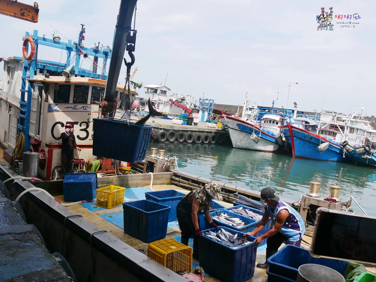 賞鯨了啦！看完海豚和牛奶海，再到漁港體驗DIY海鮮料理