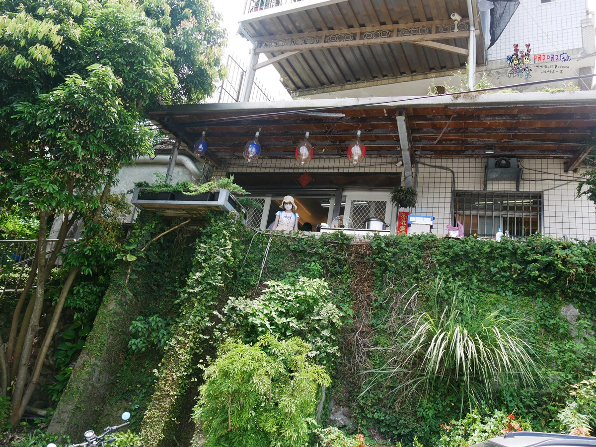 賞鯨了啦！看完海豚和牛奶海，再到漁港體驗DIY海鮮料理