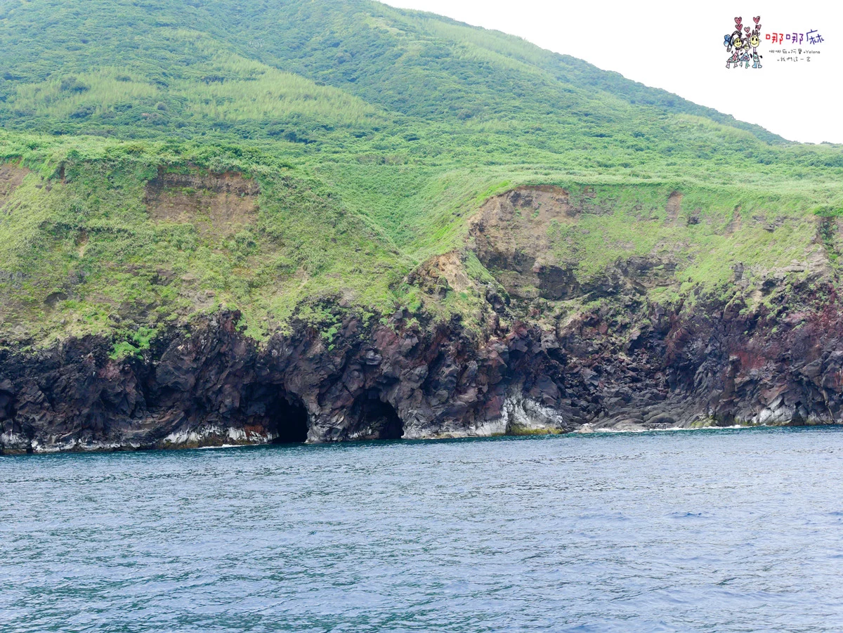 賞鯨了啦！看完海豚和牛奶海，再到漁港體驗DIY海鮮料理