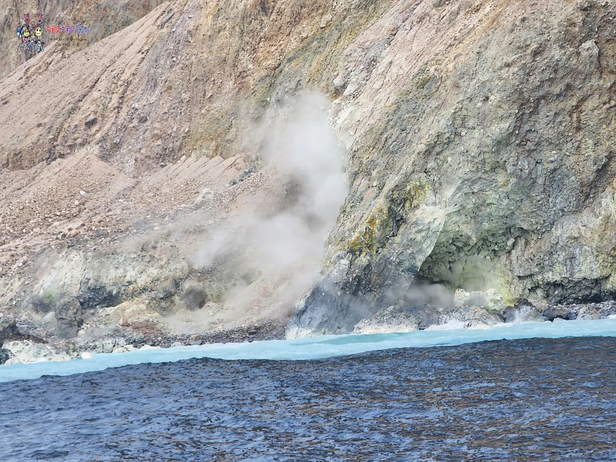賞鯨了啦！看完海豚和牛奶海，再到漁港體驗DIY海鮮料理