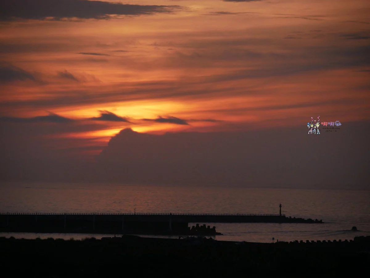 賞鯨了啦！看完海豚和牛奶海，再到漁港體驗DIY海鮮料理