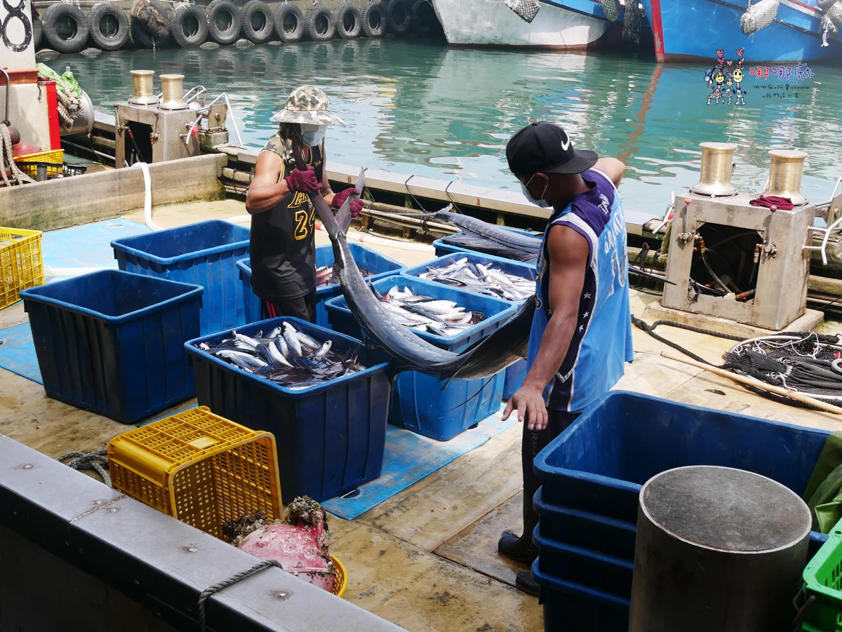 賞鯨了啦！看完海豚和牛奶海，再到漁港體驗DIY海鮮料理