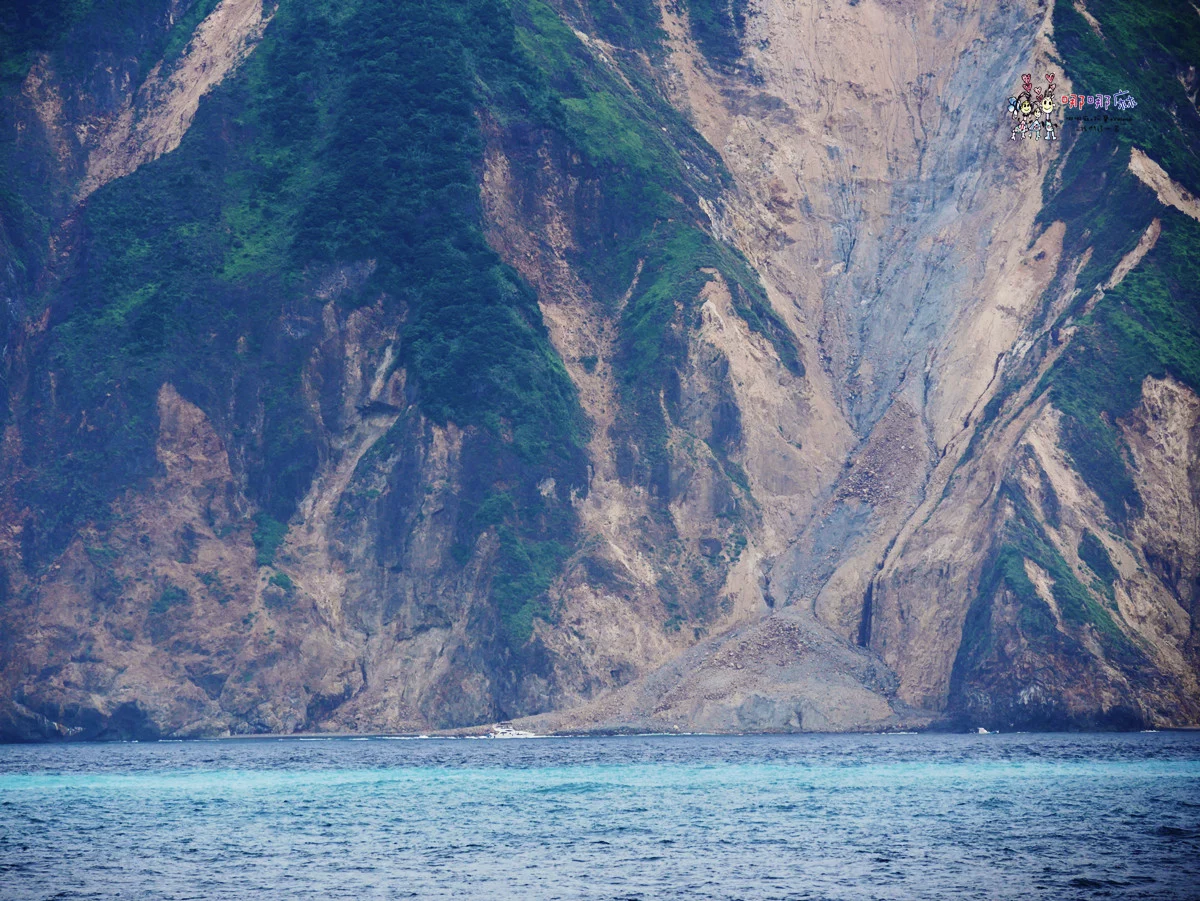 賞鯨了啦！看完海豚和牛奶海，再到漁港體驗DIY海鮮料理