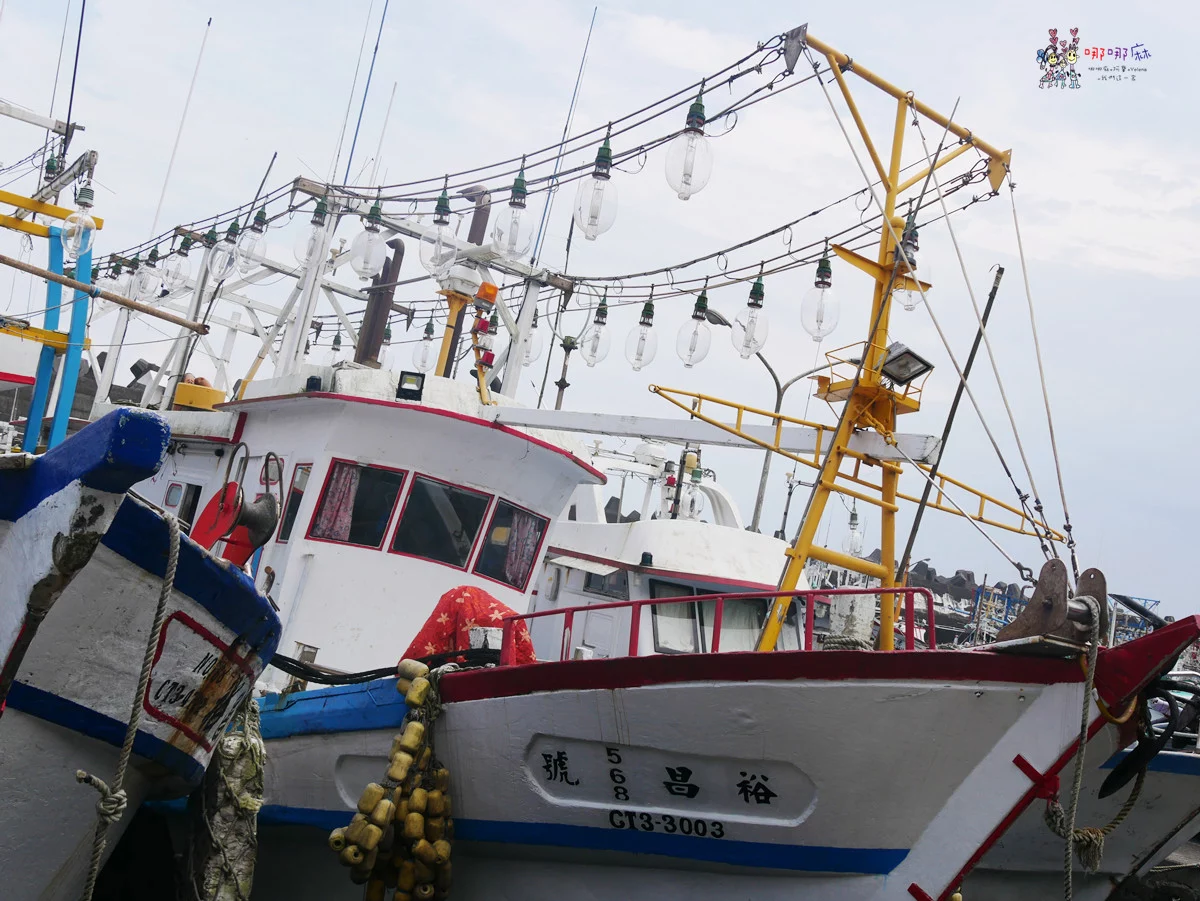 賞鯨了啦！看完海豚和牛奶海，再到漁港體驗DIY海鮮料理