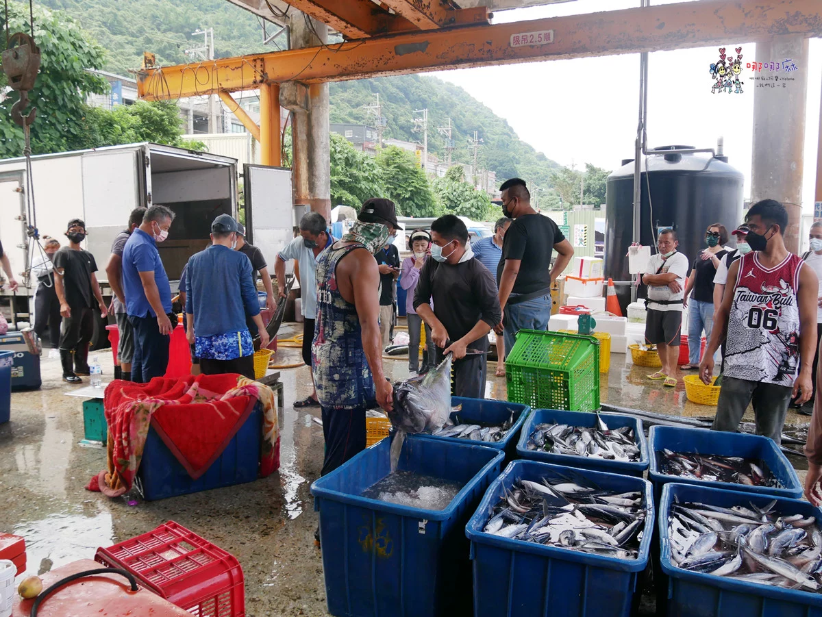 賞鯨了啦！看完海豚和牛奶海，再到漁港體驗DIY海鮮料理