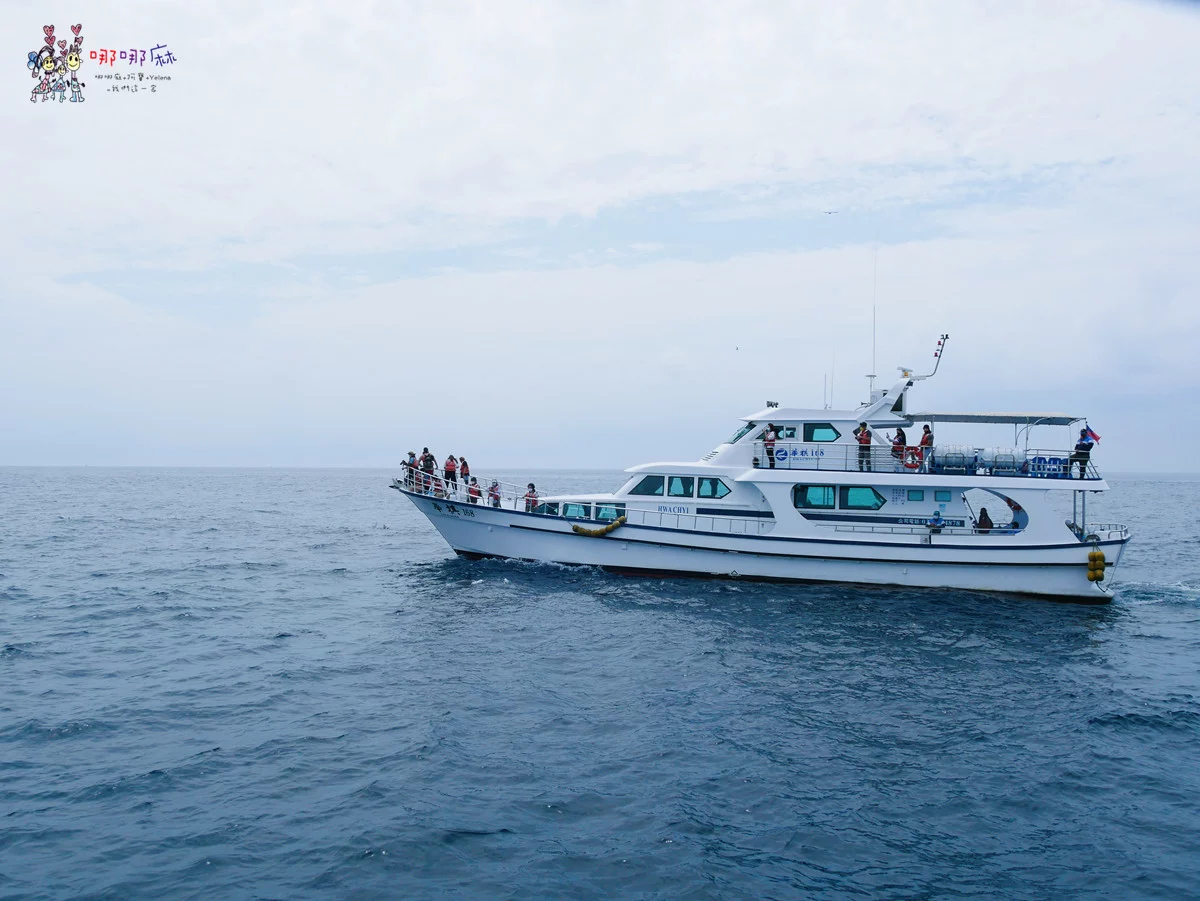 賞鯨了啦！看完海豚和牛奶海，再到漁港體驗DIY海鮮料理