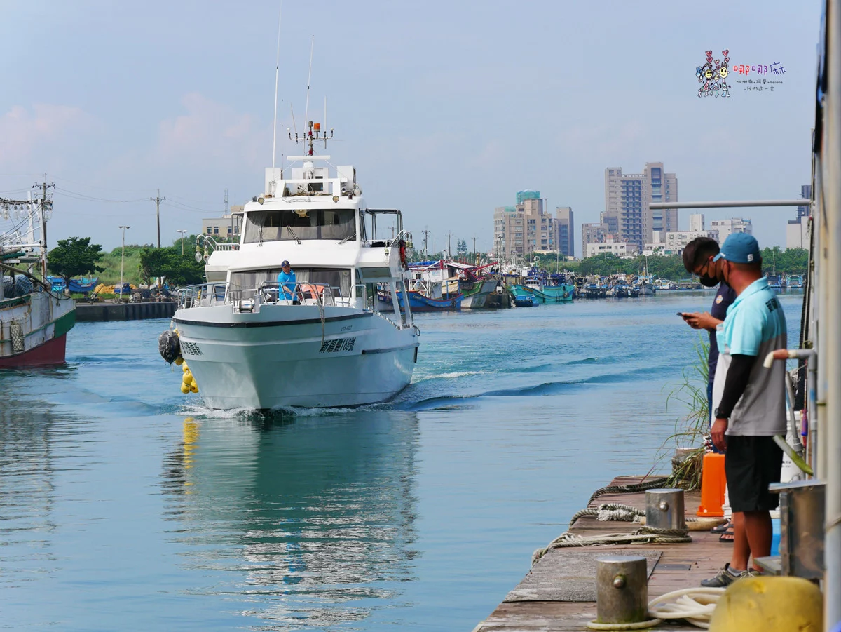 賞鯨了啦！看完海豚和牛奶海，再到漁港體驗DIY海鮮料理