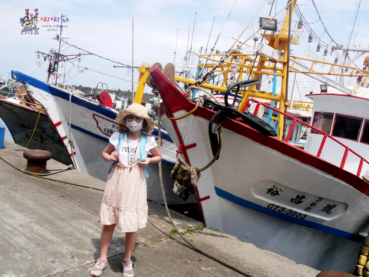 賞鯨了啦！看完海豚和牛奶海，再到漁港體驗DIY海鮮料理