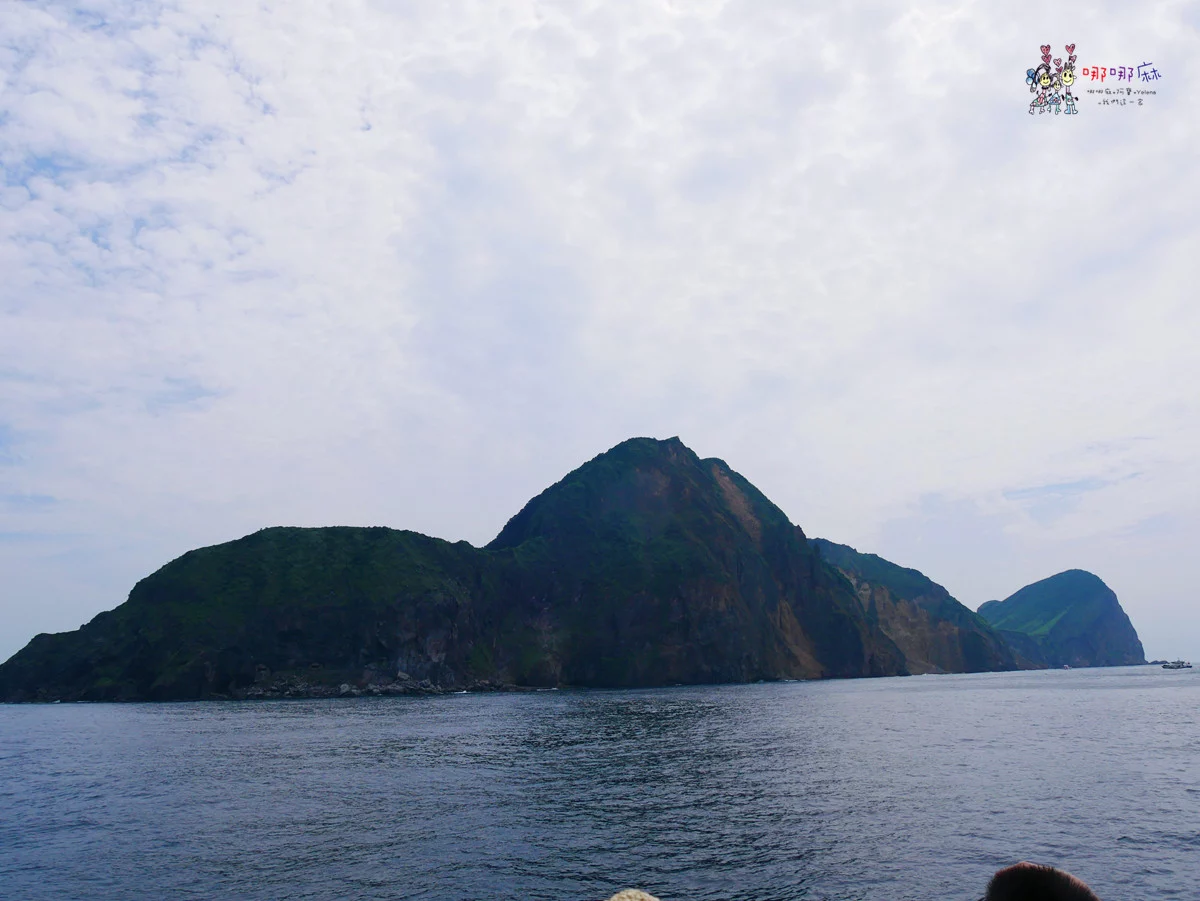 賞鯨了啦！看完海豚和牛奶海，再到漁港體驗DIY海鮮料理
