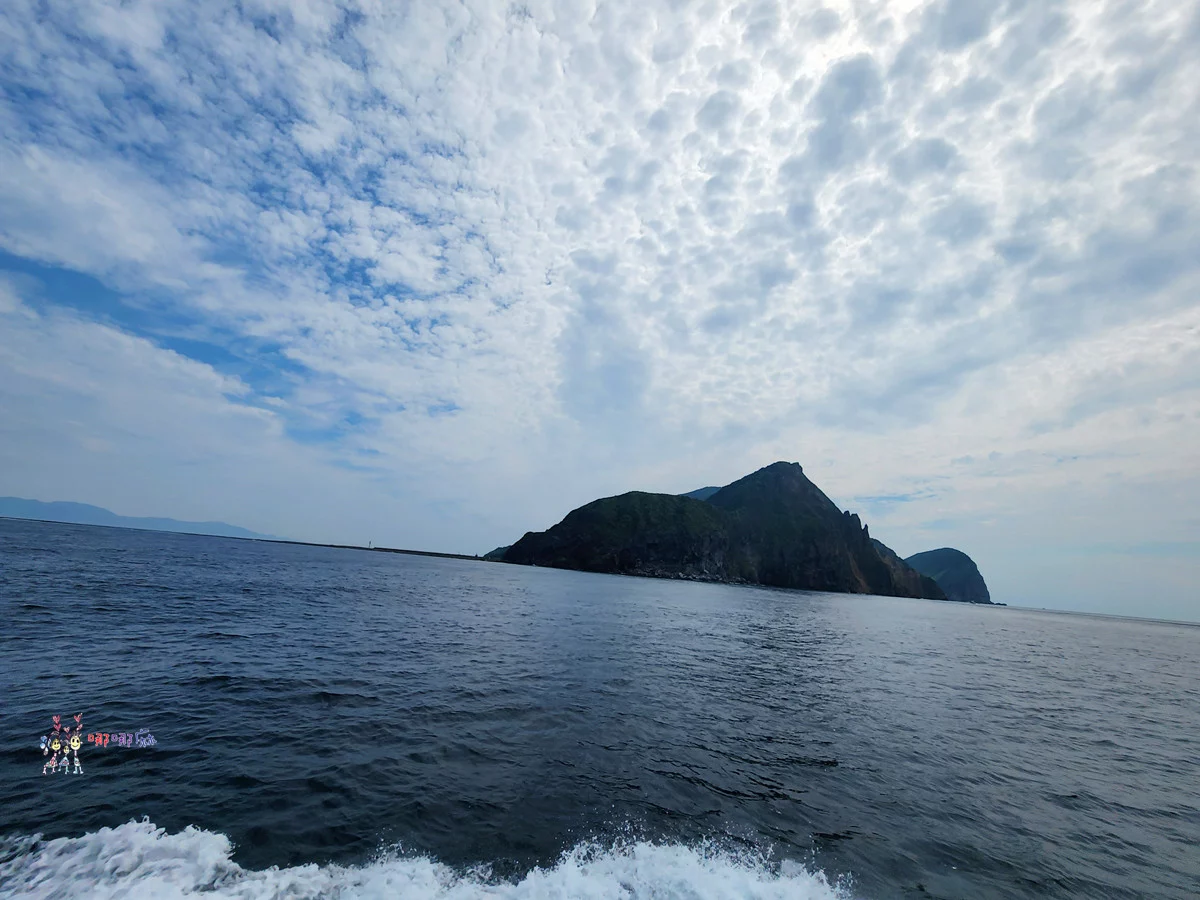 賞鯨了啦！看完海豚和牛奶海，再到漁港體驗DIY海鮮料理