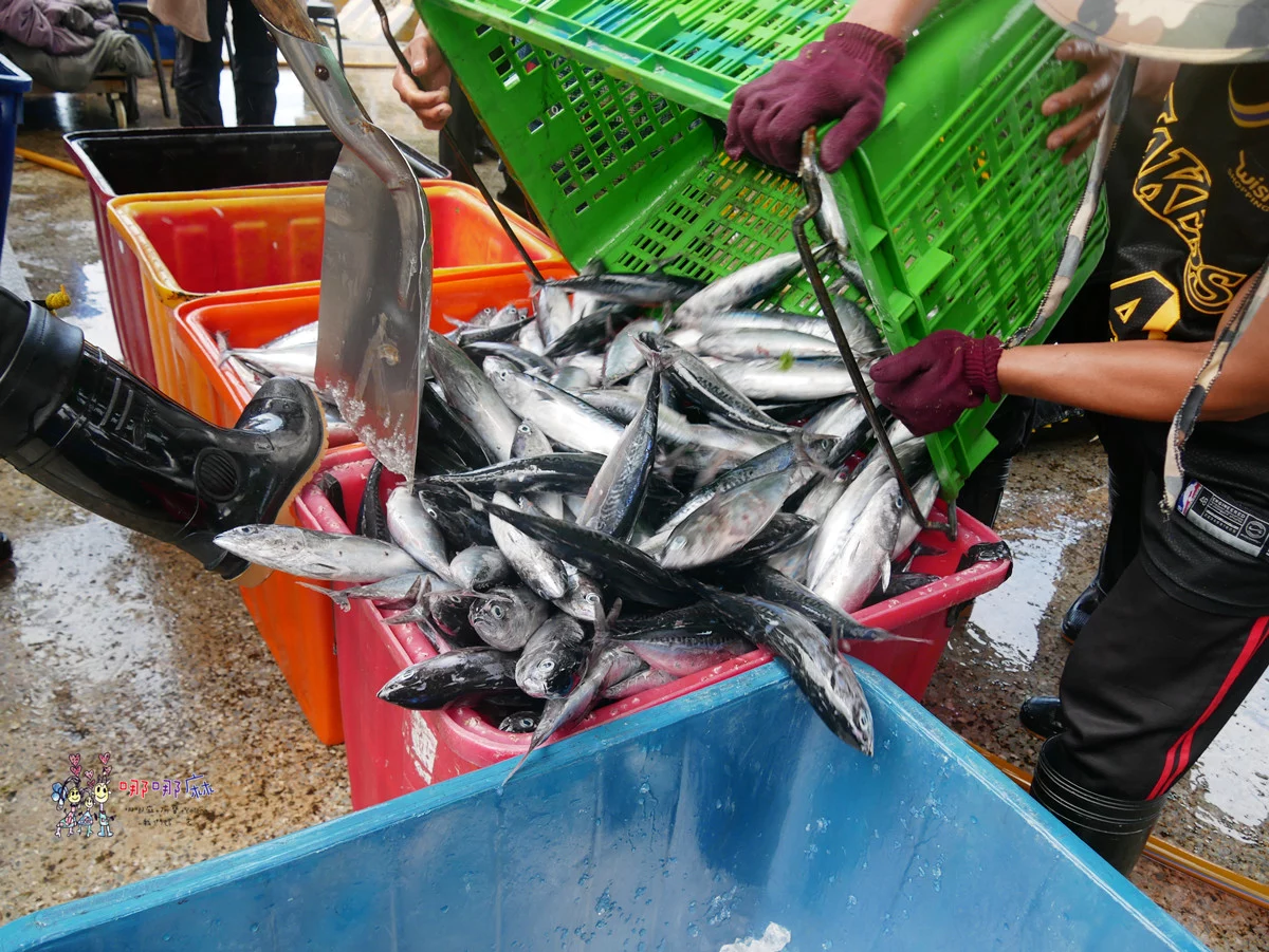 賞鯨了啦！看完海豚和牛奶海，再到漁港體驗DIY海鮮料理