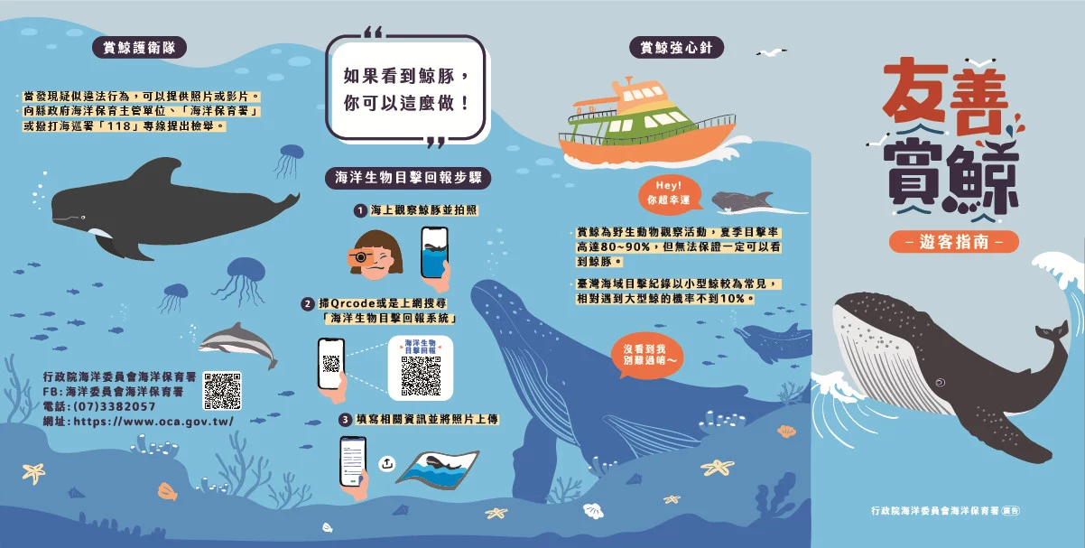 賞鯨了啦！看完海豚和牛奶海，再到漁港體驗DIY海鮮料理