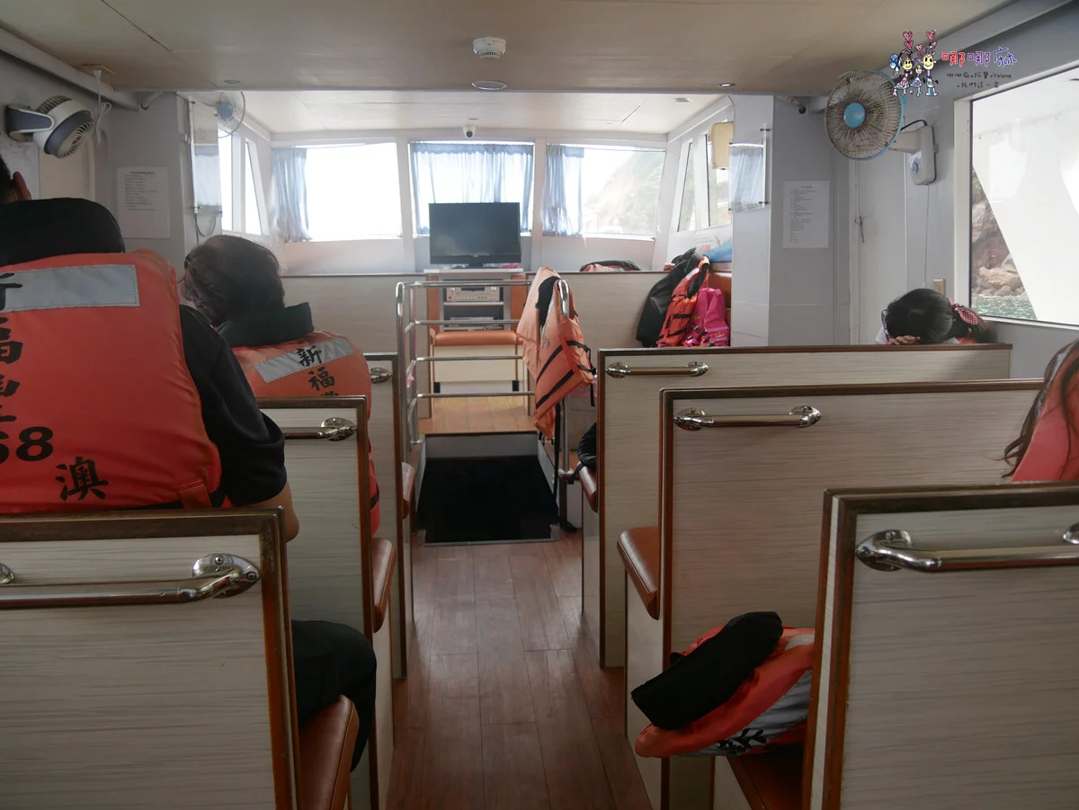 賞鯨了啦！看完海豚和牛奶海，再到漁港體驗DIY海鮮料理