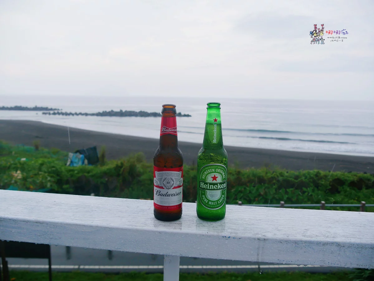 賞鯨了啦！看完海豚和牛奶海，再到漁港體驗DIY海鮮料理