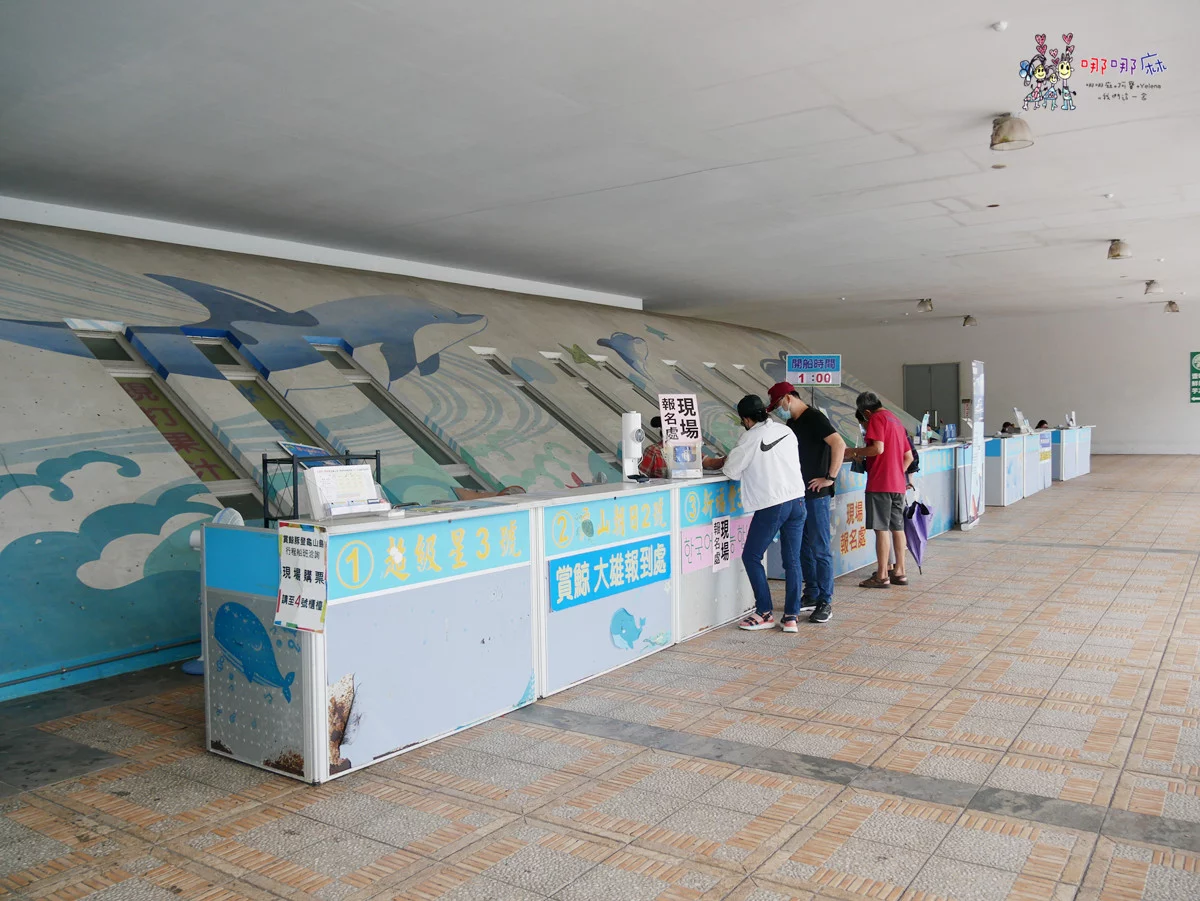 賞鯨了啦！看完海豚和牛奶海，再到漁港體驗DIY海鮮料理