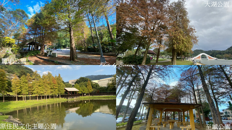 宜蘭友善賞鯨之旅~龜山島繞島賞鯨豚X漁村廚房DIY魚料理X新景點-川岩River Stone @Bernice的隨手筆記