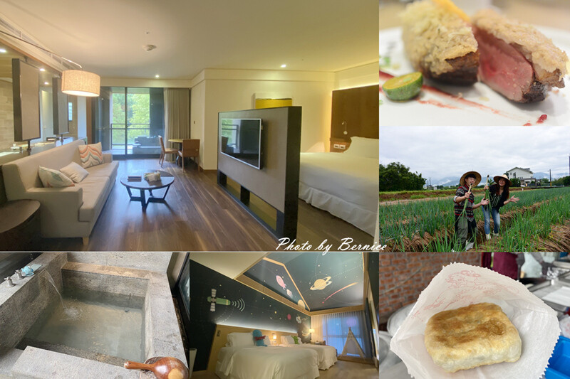 宜蘭友善賞鯨之旅~龜山島繞島賞鯨豚X漁村廚房DIY魚料理X新景點-川岩River Stone @Bernice的隨手筆記