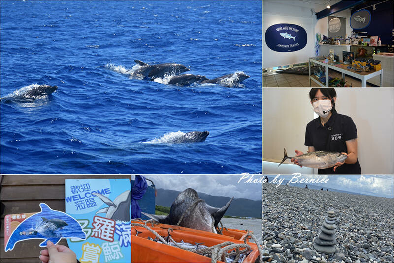 宜蘭友善賞鯨之旅~龜山島繞島賞鯨豚X漁村廚房DIY魚料理X新景點-川岩River Stone @Bernice的隨手筆記