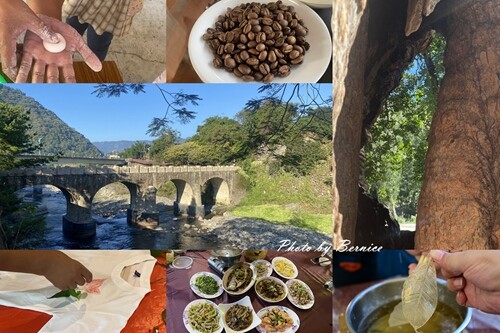 宜蘭友善賞鯨之旅~龜山島繞島賞鯨豚X漁村廚房DIY魚料理X新景點-川岩River Stone @Bernice的隨手筆記