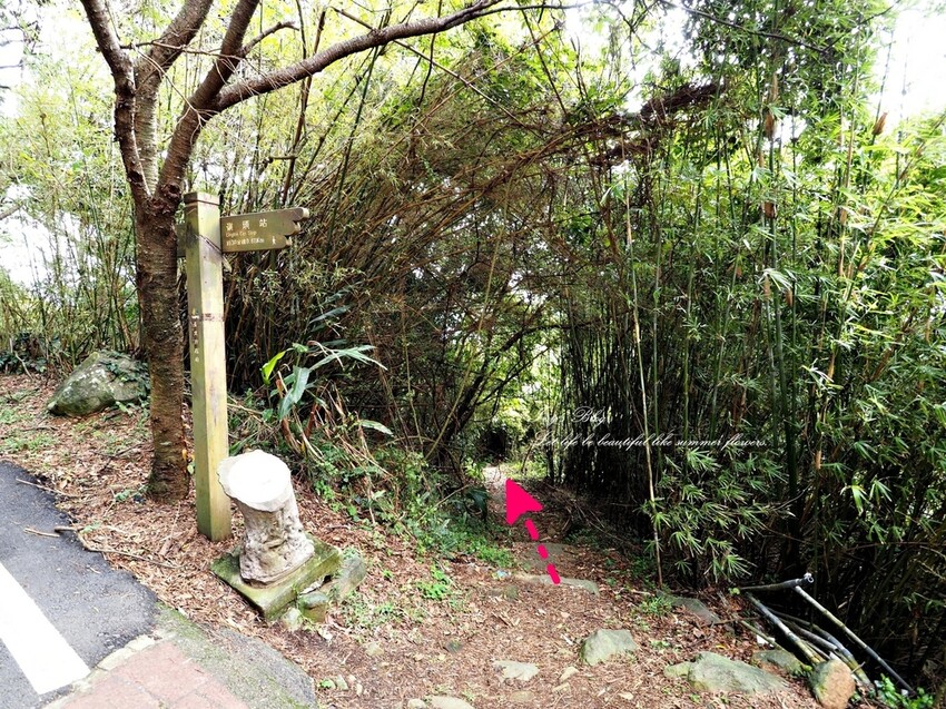 台北//北投區//登山趣//中正山親山環狀步道