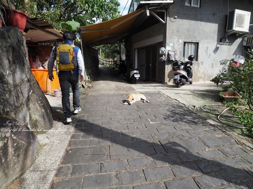 台北//北投區//登山趣//中正山親山環狀步道