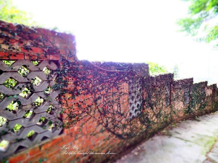 台北//北投區//登山趣//中正山親山環狀步道