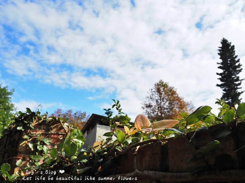 台北//北投區//登山趣//中正山親山環狀步道