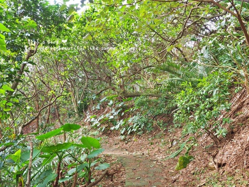 台北//北投區//登山趣//中正山親山環狀步道
