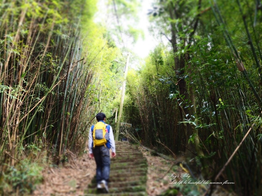 台北//北投區//登山趣//中正山親山環狀步道