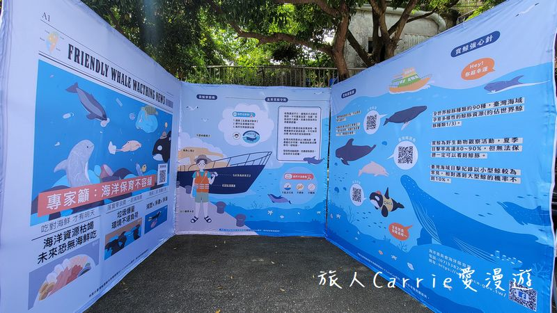 海洋保育署-友善賞鯨之旅〜烏石港搭乘友善賞鯨船‧漁村廚房-漁村特色料理DIY、梗枋魚港巡禮‧川岩 RIVER STONE網美下午茶賞龜山島【宜蘭頭城旅遊】