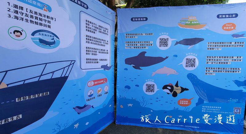 海洋保育署-友善賞鯨之旅〜烏石港搭乘友善賞鯨船‧漁村廚房-漁村特色料理DIY、梗枋魚港巡禮‧川岩 RIVER STONE網美下午茶賞龜山島【宜蘭頭城旅遊】