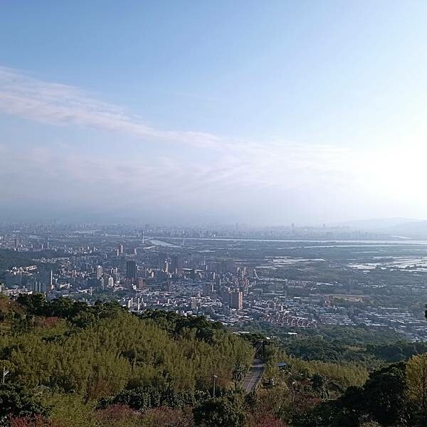 【走。遊台北賞花趣】北投區櫻花隧道