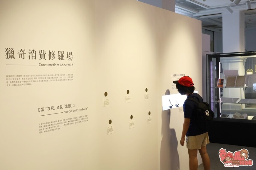 【台南展覽】台南首次以「動物」為主題的文學展!虛擬互動搭配動物紙雕,帶你看見不一樣的台灣文化:台灣動物文學特展 - 熱血玩台南。跳躍新世界