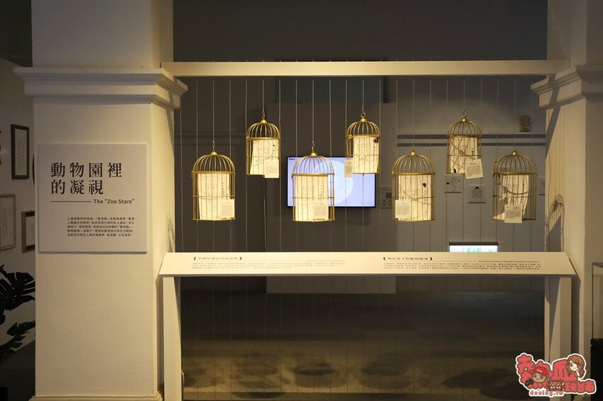 【台南展覽】台南首次以「動物」為主題的文學展!虛擬互動搭配動物紙雕,帶你看見不一樣的台灣文化:台灣動物文學特展 - 熱血玩台南。跳躍新世界