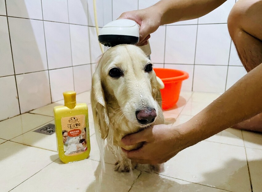 IMG_3373狗狗洗⽑精推薦_汪汪寶⾙.JPG IMG_3373狗狗洗⽑精推薦_汪汪寶⾙.JPG