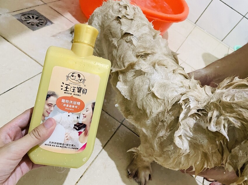 IMG_3388狗狗洗⽑精推薦_汪汪寶⾙.JPG IMG_3388狗狗洗⽑精推薦_汪汪寶⾙.JPG