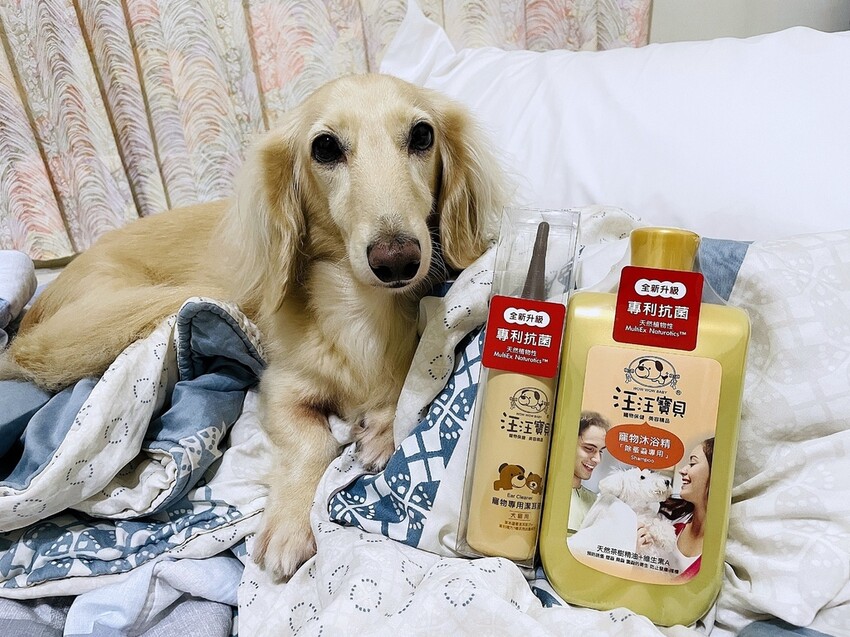IMG_3179狗狗洗⽑精推薦_汪汪寶⾙.JPG IMG_3179狗狗洗⽑精推薦_汪汪寶⾙.JPG