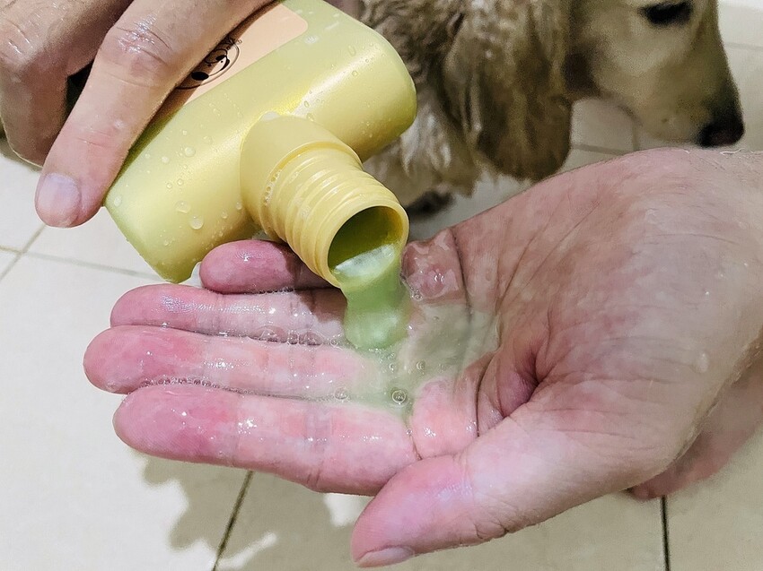 IMG_3378狗狗洗⽑精推薦_汪汪寶⾙.JPG IMG_3378狗狗洗⽑精推薦_汪汪寶⾙.JPG