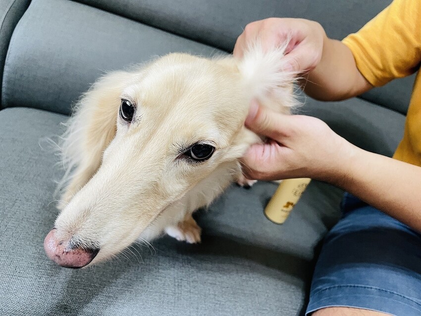 IMG_3252狗狗洗⽑精推薦_汪汪寶⾙.JPG IMG_3252狗狗洗⽑精推薦_汪汪寶⾙.JPG