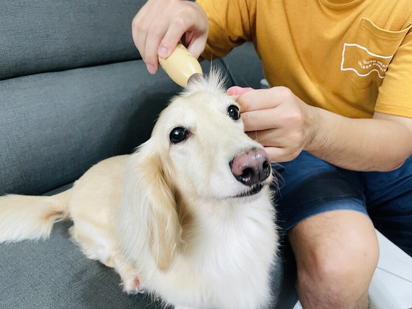 IMG_3241狗狗洗⽑精推薦_汪汪寶⾙.JPG IMG_3241狗狗洗⽑精推薦_汪汪寶⾙.JPG