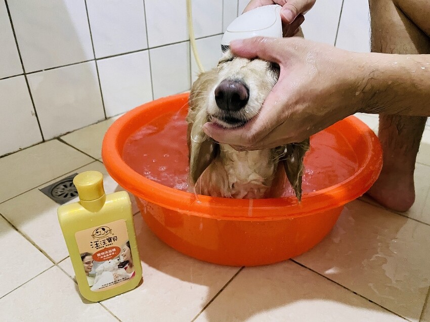 IMG_3408狗狗洗⽑精推薦_汪汪寶⾙.JPG IMG_3408狗狗洗⽑精推薦_汪汪寶⾙.JPG