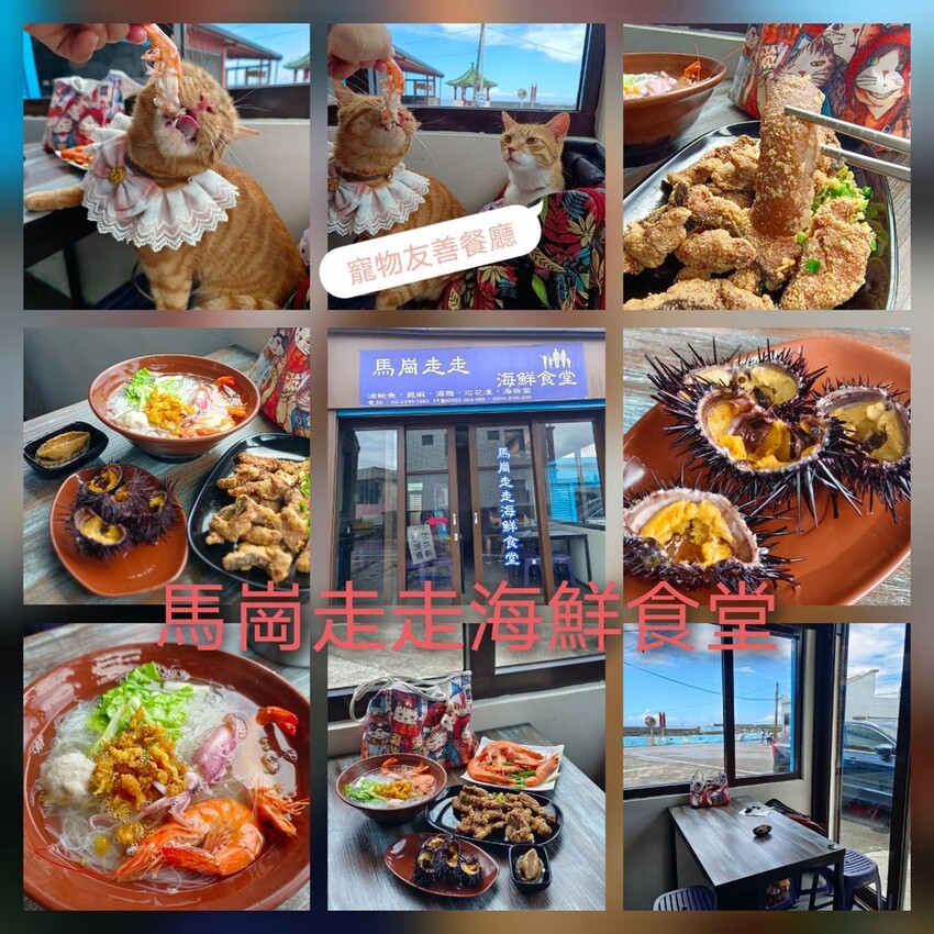 【台北.貢寮】貢寮旅行寵物友善懶人包。最強海鮮+最美免費景點。帶著寵物旅行去