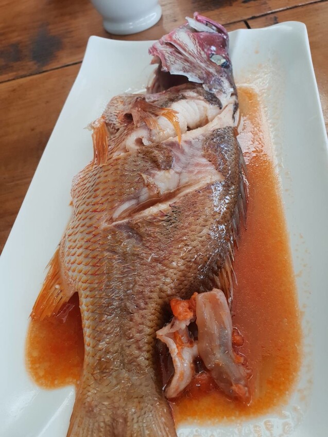 【台北.貢寮】貢寮旅行寵物友善懶人包。最強海鮮+最美免費景點。帶著寵物旅行去