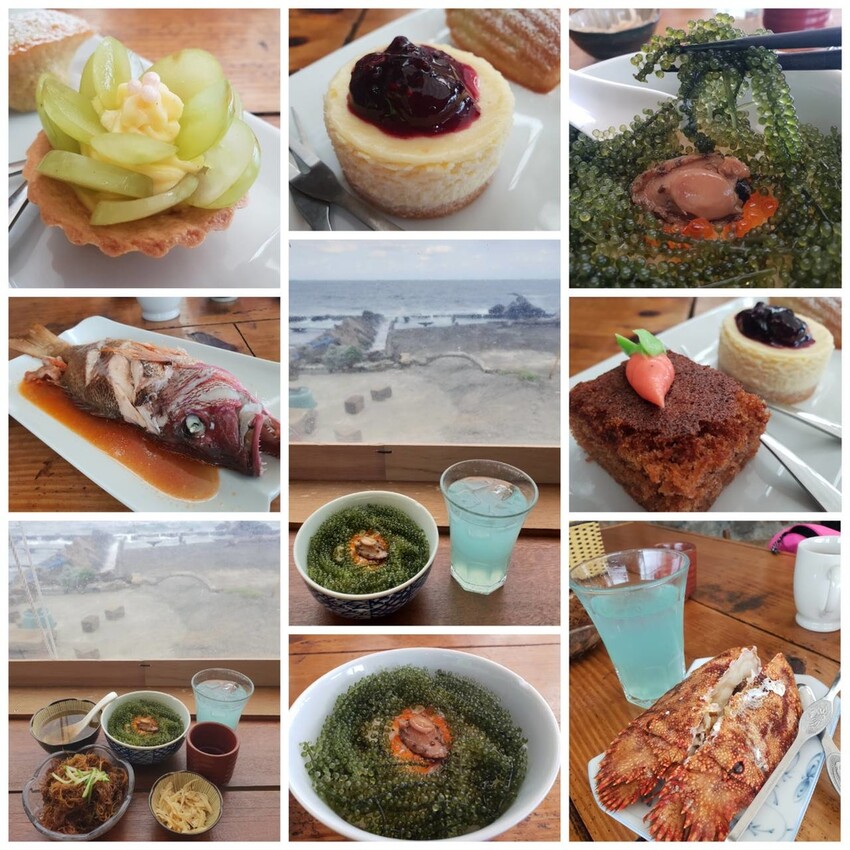 【台北.貢寮】貢寮旅行寵物友善懶人包。最強海鮮+最美免費景點。帶著寵物旅行去