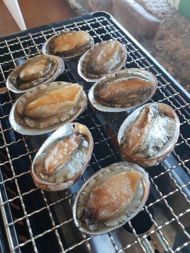 【台北.貢寮】貢寮旅行寵物友善懶人包。最強海鮮+最美免費景點。帶著寵物旅行去