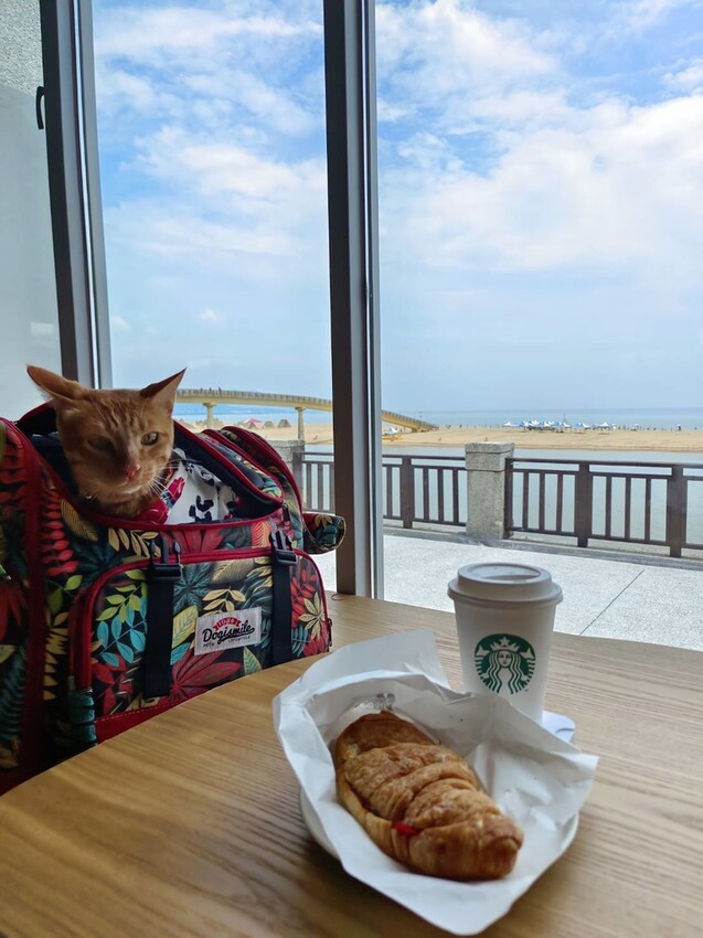 【台北.貢寮】貢寮旅行寵物友善懶人包。最強海鮮+最美免費景點。帶著寵物旅行去