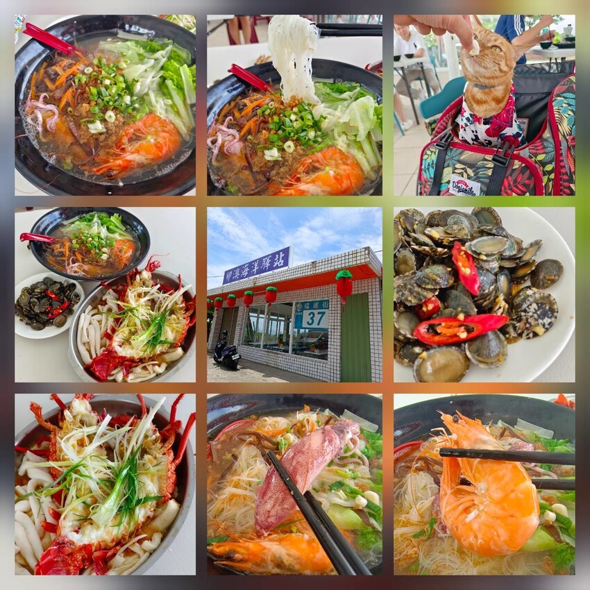 【台北.貢寮】貢寮旅行寵物友善懶人包。最強海鮮+最美免費景點。帶著寵物旅行去